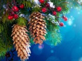 С Новым, 2017 годом!